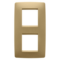 ONE INT. PLATE 2+2M V. GOLD