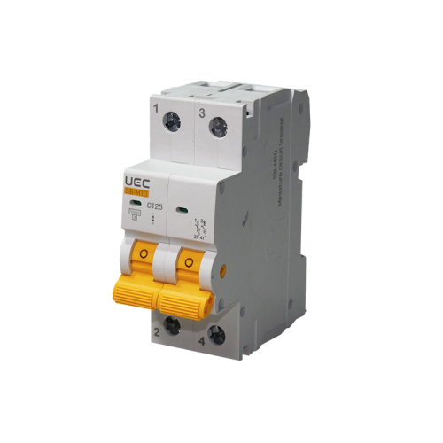 Модульний автоматичний вимикач SB-M10 2P 125A  характеристика C  10кA UEC