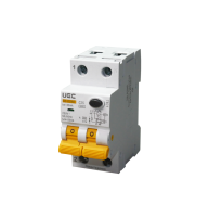 Current-Operated Circuit Breaker SB-R9NE 2P C 25A  30mA Type A 6kA UEC