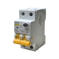 Current-Operated Circuit Breaker SB-R9NE 2P C 40A  30mA Type A 6kA UEC