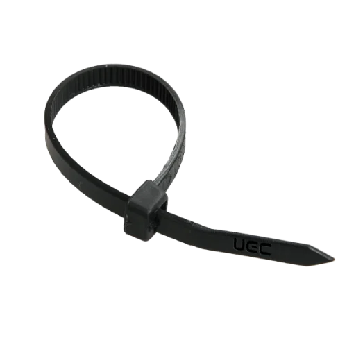 Nylon clamp 4.6х250 mm black (100 pcs)